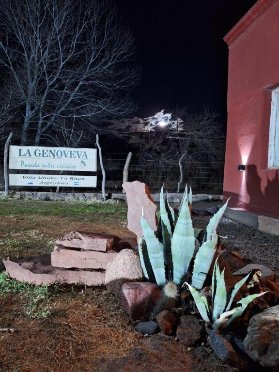 a succulent plant in front of a sign at night at La Genoveva Posada entre Viñedos in Villa Unión