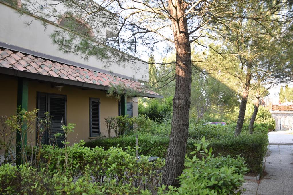 Zahrada ubytování Hotel Fattoria Belvedere
