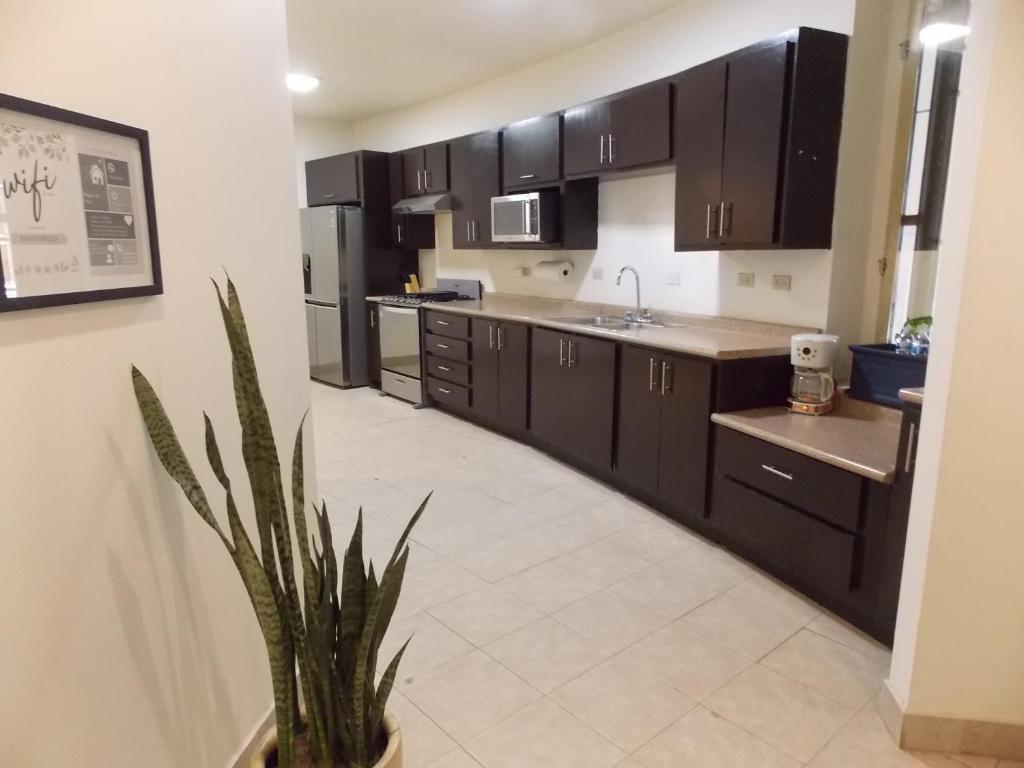 a kitchen with black cabinets and a potted plant at La Sierra Departamento 1 in Ciudad Juarez