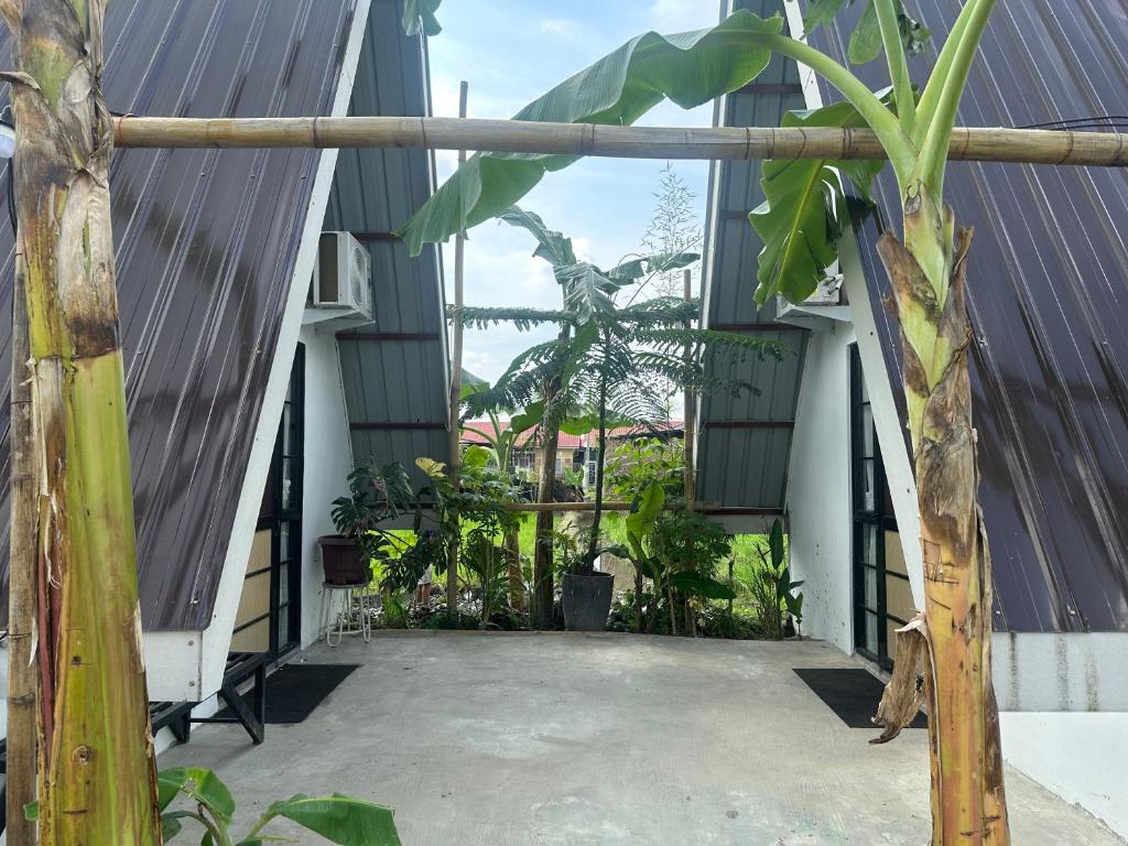 an outside view of a building with a plant at Mias Home in Sunggal