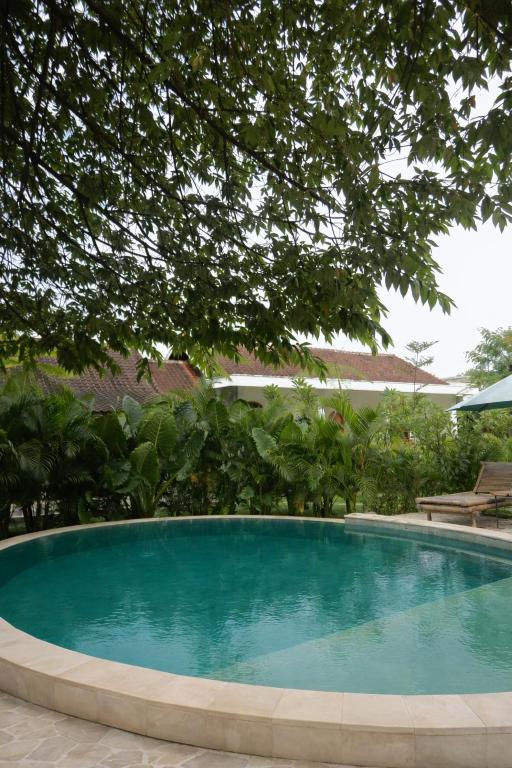 a large blue swimming pool in a yard at Palmhouse Boutique Hotel in Kuta Lombok