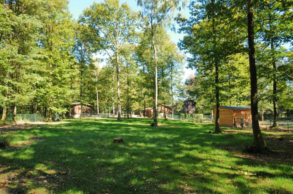 a grassy area with trees and a smallshed at Le Renard - Oignies 50 in Petit Mesnil