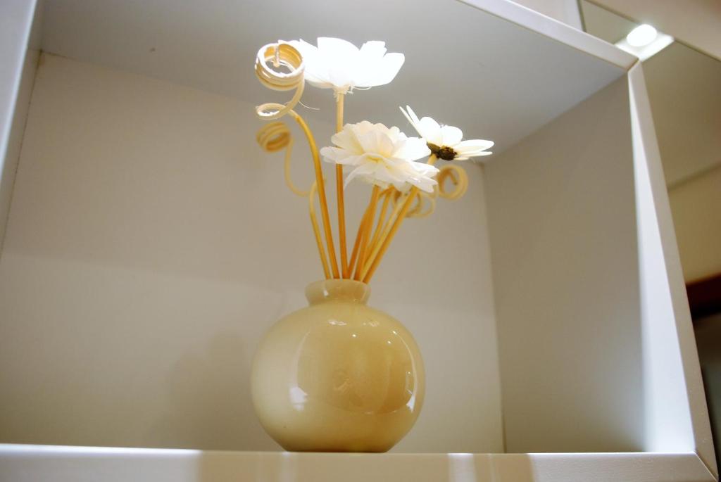 Flores da Montanha Aconchego  Flores da Montanha Aconchego