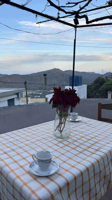 a table with a vase of roses and a cup of coffee at Klima in Vrísai