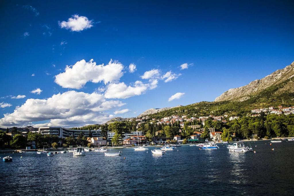 Príroda v okolí apartmánu