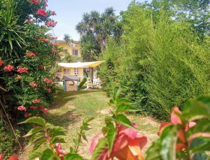 a yard with a house and some bushes and flowers at B&B Romy House in Pianopoli
