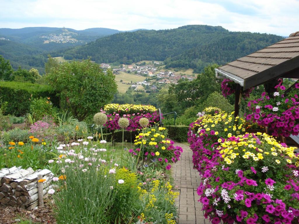 a garden of flowers with a view of a town at Le Gite Fleuri in Hazelbourg