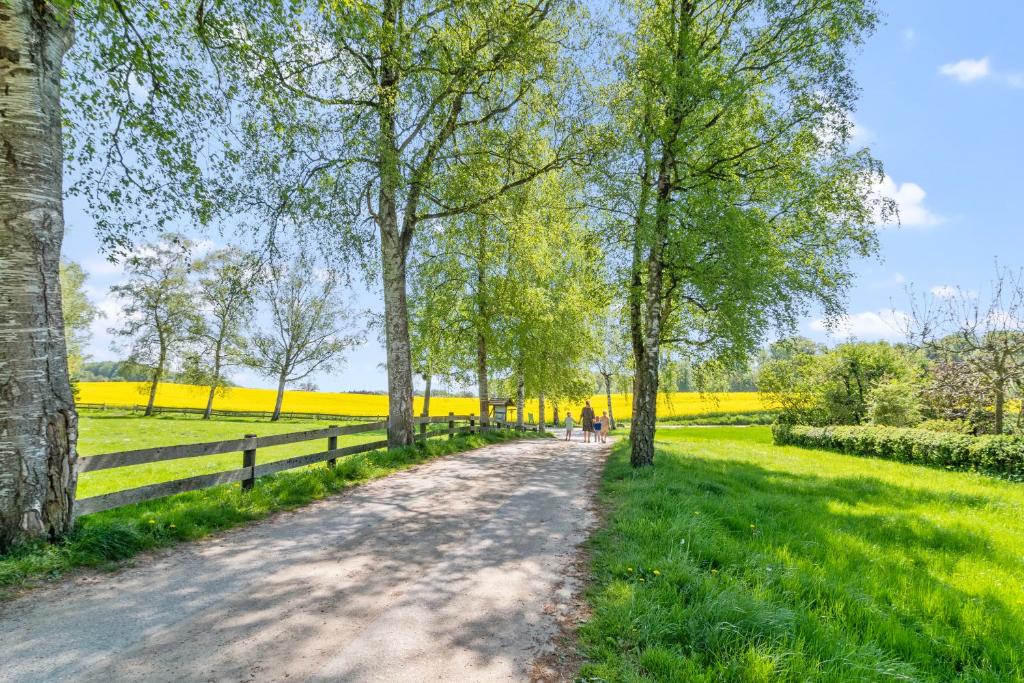 a path in a field with trees and a fence at Ferienhof Radlandsichten in Malente