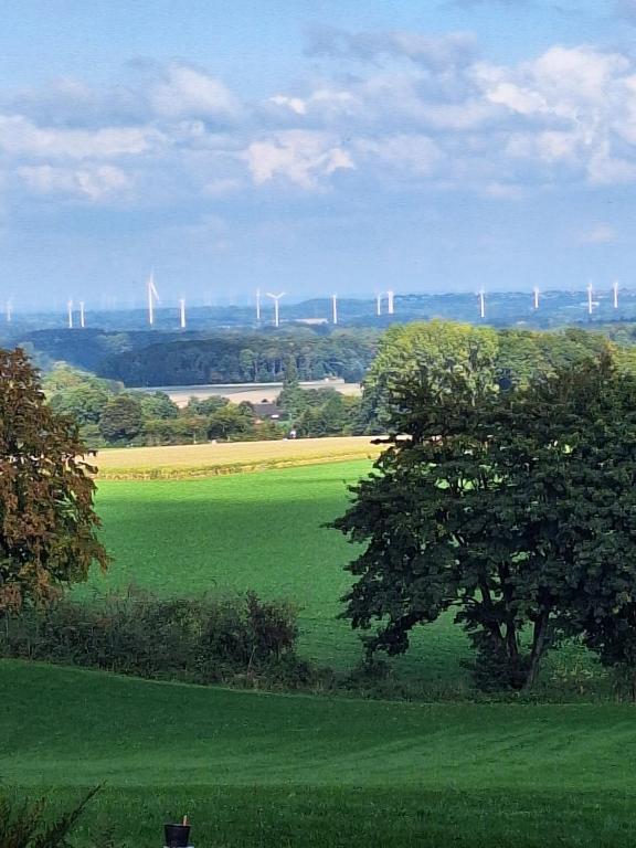 a green field with a wind farm in the distance at Fewo Holtwicker Ei in Rosendahl