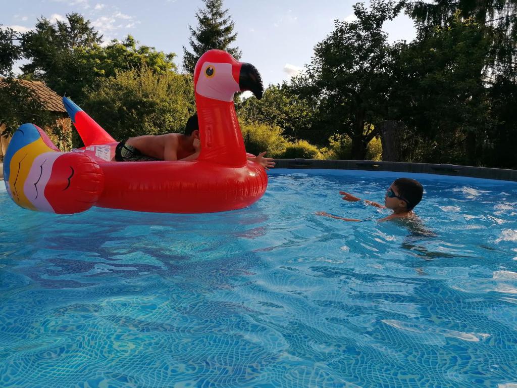 a group of people in a swimming pool with at Ferme les Iris in Issenheim