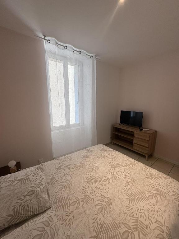 a bedroom with a large bed and a television at Le Mercoyrol in Cruas