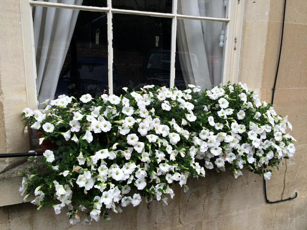 Fotografie z fotogalerie ubytování No 4 Ainslie's Belvedere B&B v destinaci Bath
