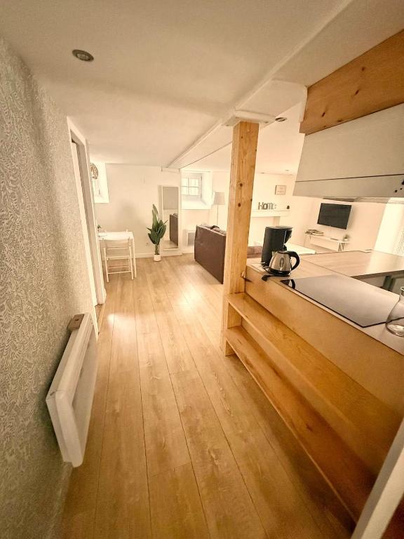 a large room with a bed and a kitchen at Le Spa des Laurières in Bagnères-de-Bigorre