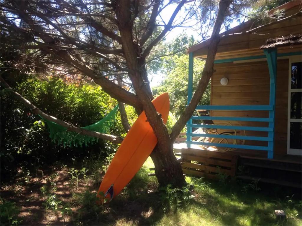 a tree with an orange object sticking out of it at Chalet Zen dans les landes in Castets