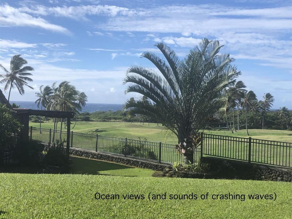 a fence and a palm tree in a field at 41 Turtle Hut in Pahala