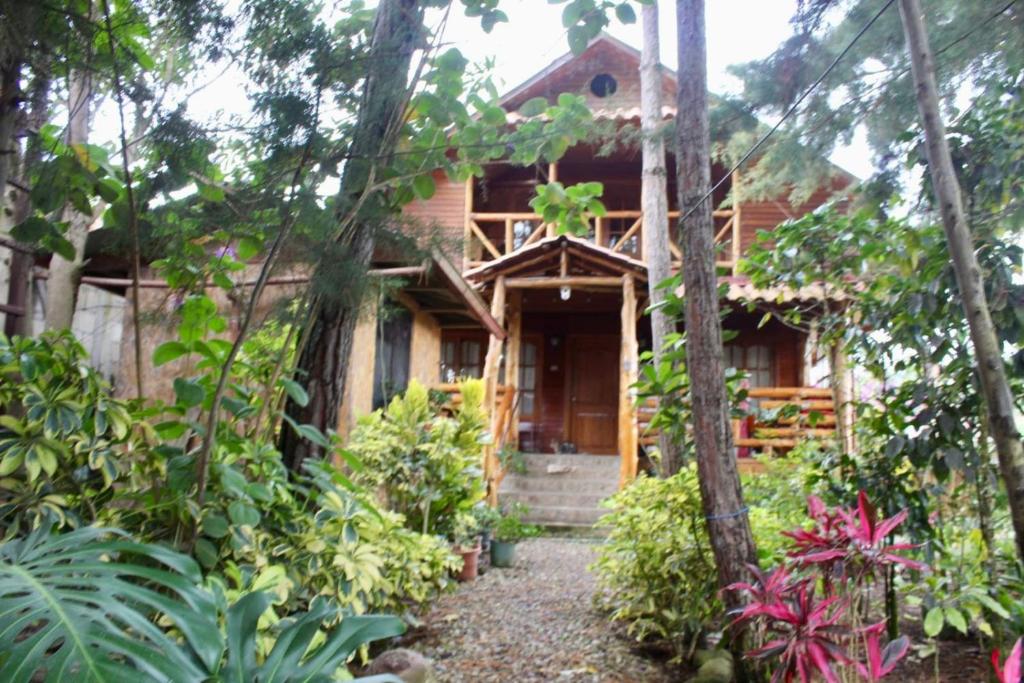 a wooden house in the middle of a forest at Hospedaje Cabañas Wohlrab in Oxapampa