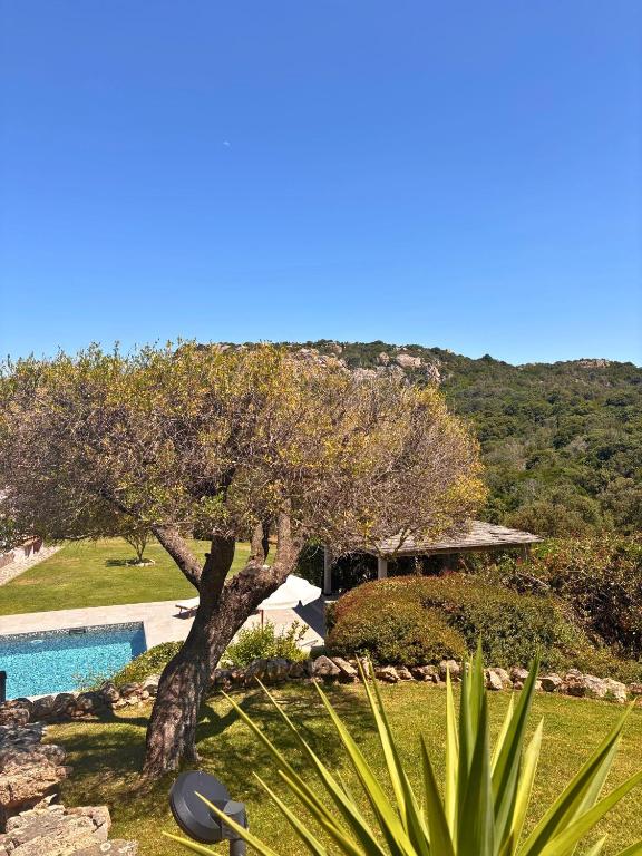 Spartaco Eco Retreat San Pantaleo - 一卧室豪华公寓