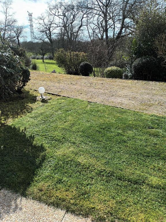 ein Garten mit einer Frisbee, die auf dem Rasen liegt in der Unterkunft Ty Kerlen in Quimperlé