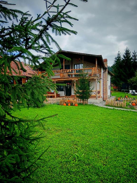 a house with a large yard in front of it at Cabana Mareea -Lunca Bradului in Lunca Bradului