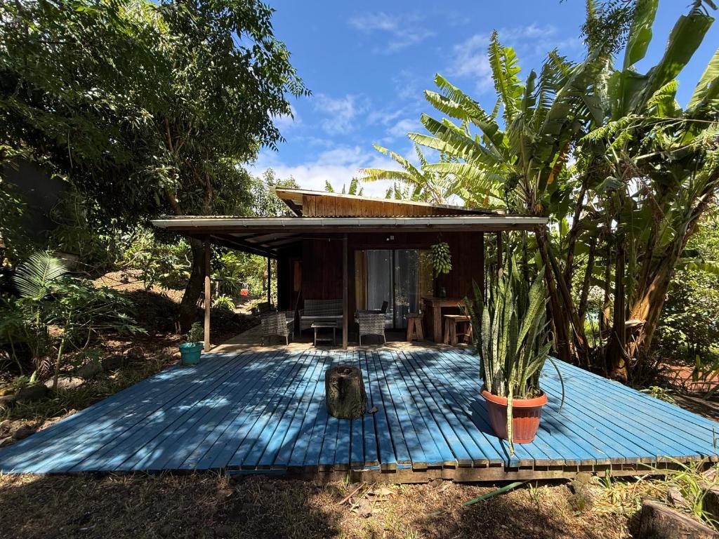 a small house with a dog sitting on a deck at Uka O Te Ra´a Cabaña full equipada. in Hanga Roa