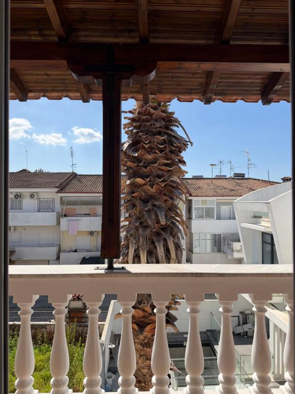 a view of a palm tree from a balcony at Kallithea Cove in Kallithea Halkidikis