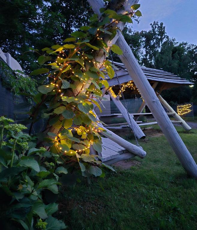 a ladder with lights on it in a yard at kraina jezior in Skorochow