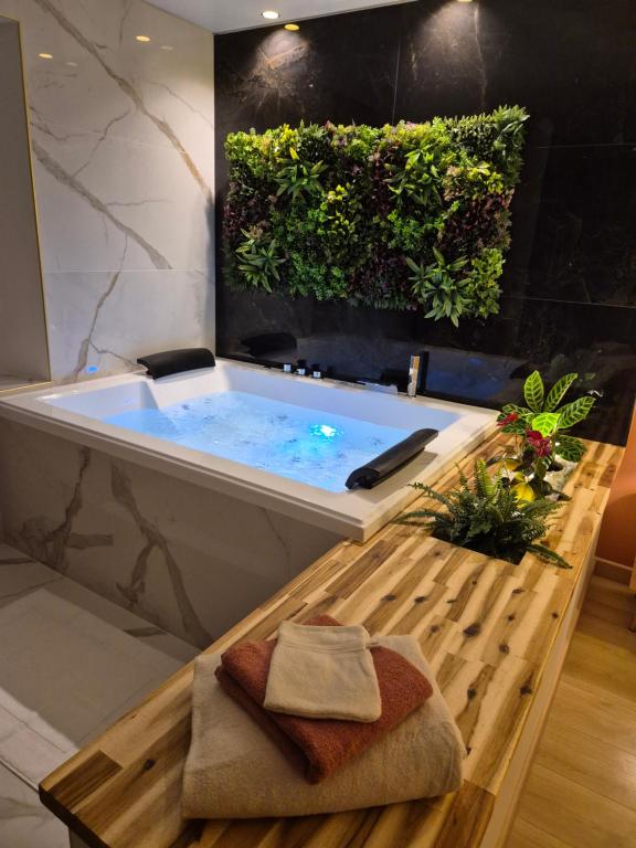 a bathroom with a bath tub with a spavisor at La clé des songes in Cellefrouin