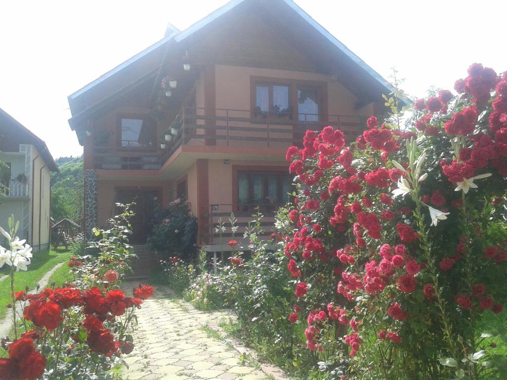 Garður fyrir utan Nopti de Vara Transfăgărășan