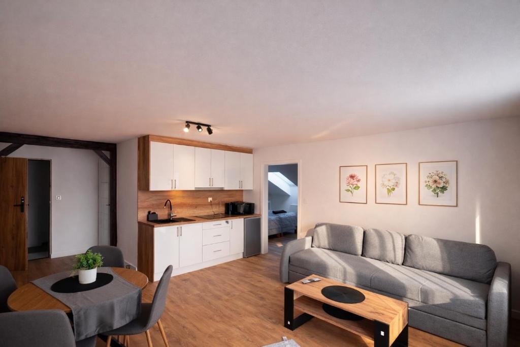 a living room with a couch and a table at Apartamenty Nad Pilicą - Klimatyzacja - Sulejów in Sulejów