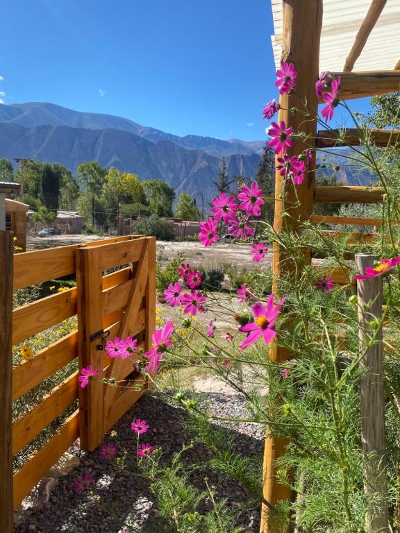 a fence with pink flowers in front of it at cabañas UMA RAYMI in Juella