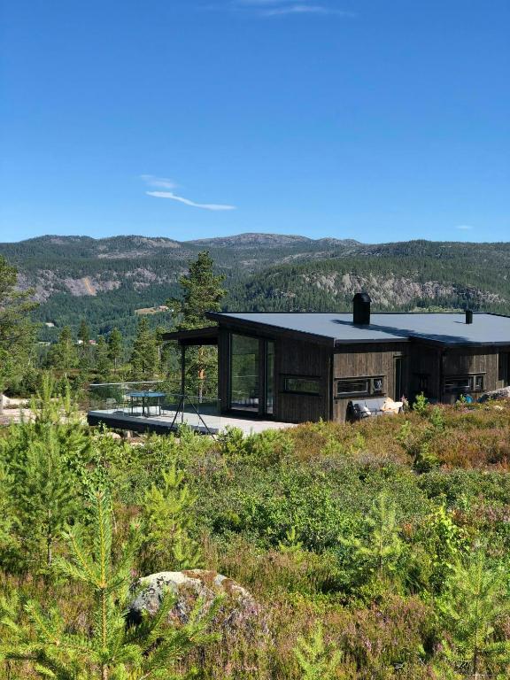 a house with a black roof on top of a hill at Spacious Mountain Cabin With View In Nissedal in Treungen