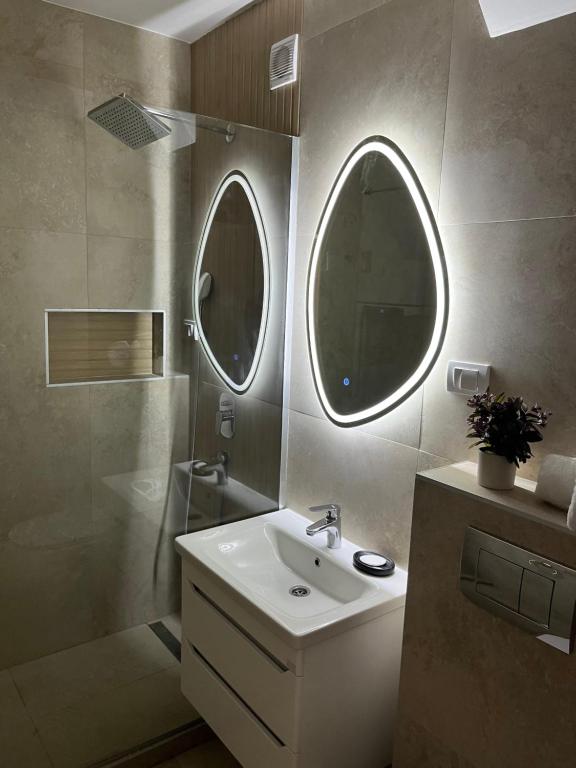 a bathroom with a sink and a shower and a mirror at Refresh apartman in Belgrade