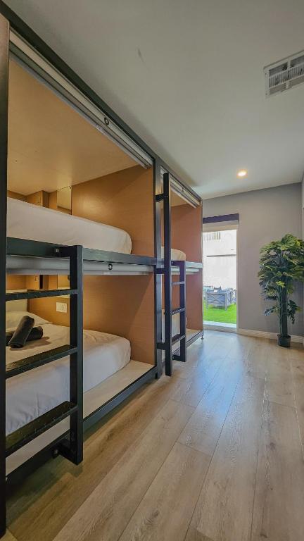 a room with bunk beds and a potted plant at Seasun Hostel in Los Angeles