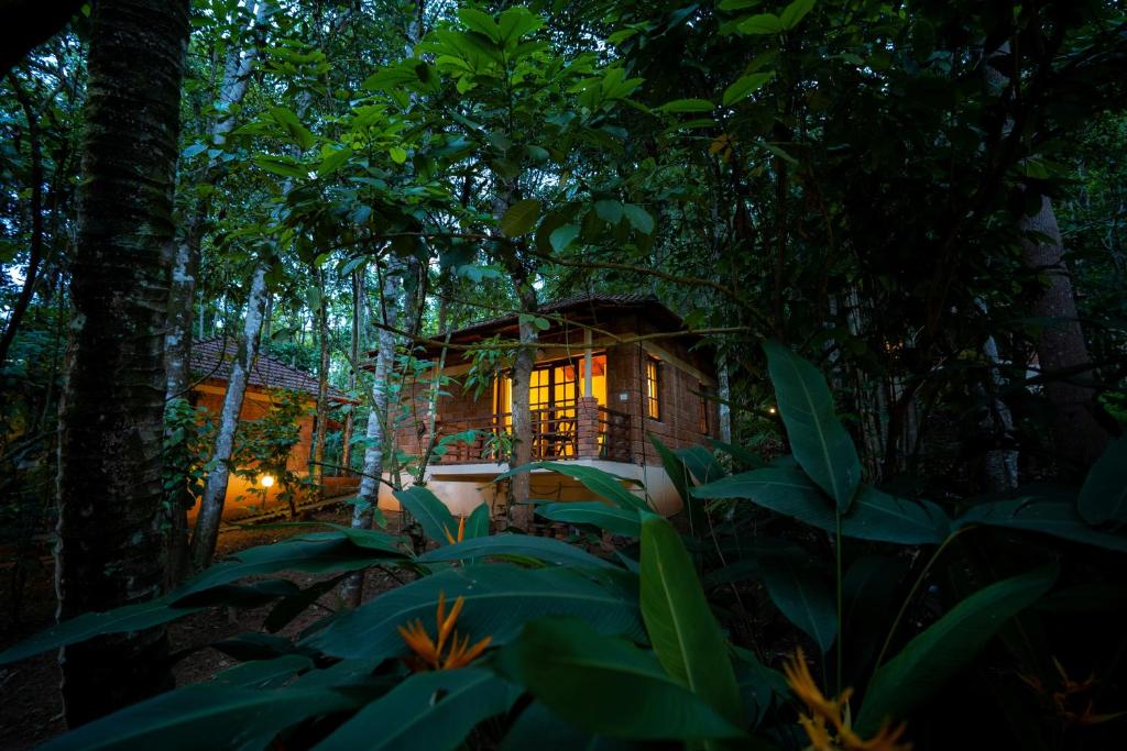 a tree house in the forest at night at Raindrops Resorts Wayanad in Wayanad