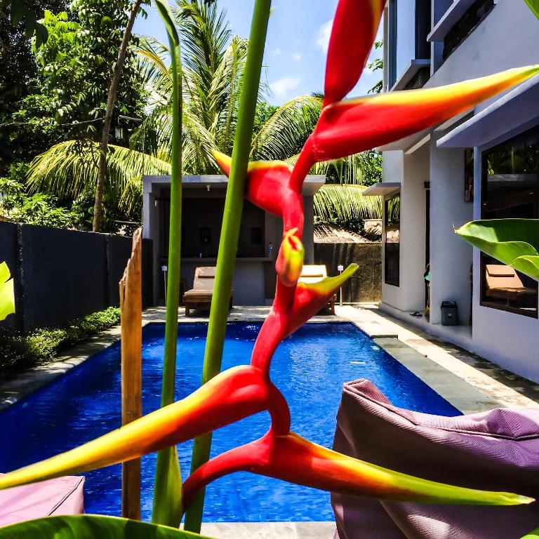 Bazén v ubytování Lazy Inn Kuta Lombok nebo v jeho okolí