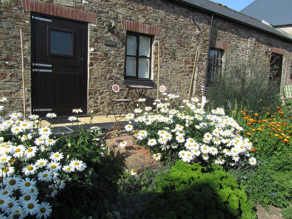 a garden with flowers in front of a building at The Linhay Eastleigh in Bideford
