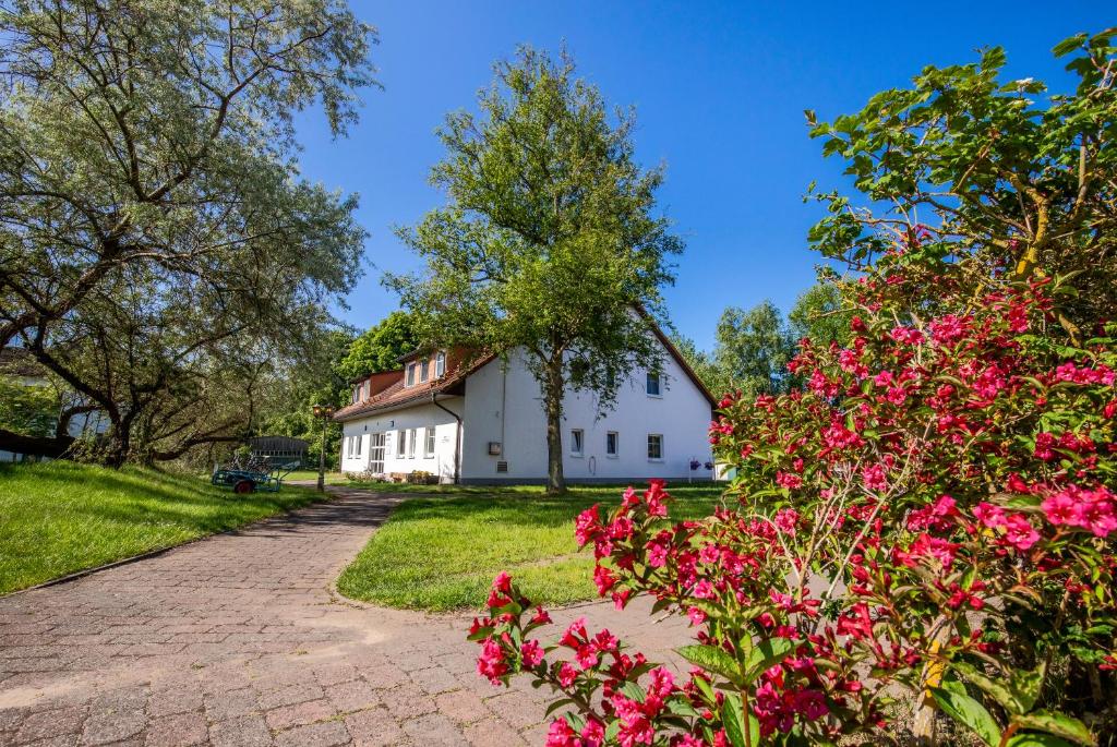 a white house with pink flowers in the foreground at BSW Ferienwohnungen Hiddensee in Hiddensee