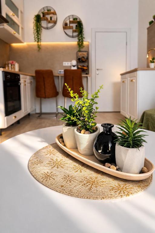 a table with three potted plants on a tray at Apartament Salina Turda in Turda