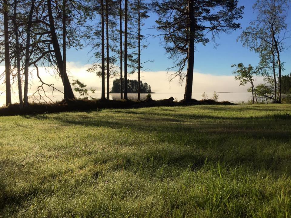 um campo de relva com árvores ao fundo em Villa Hiili em Ähtäri