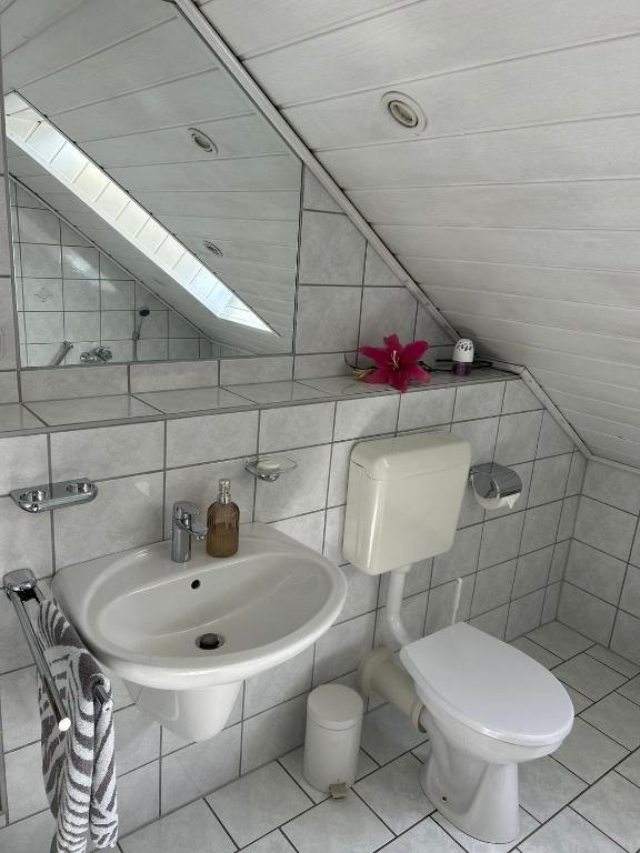 a bathroom with a sink and a toilet and a mirror at Ferienwohnung2 Renate Strohhöfer in Hirschaid