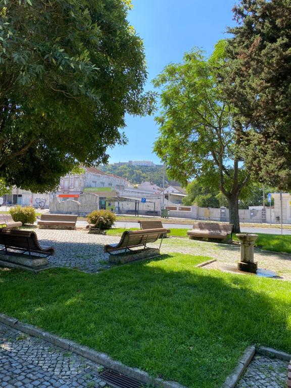 two benches in a park with trees and grass at Casa Alves in Palmela