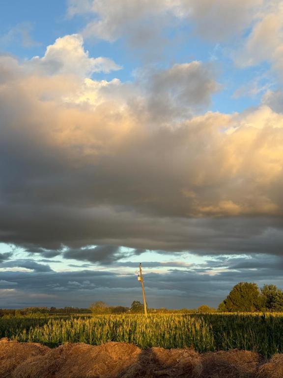 AlmaTierra Eco Finca