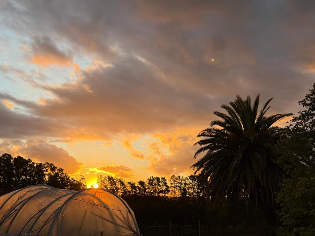 AlmaTierra Eco Finca