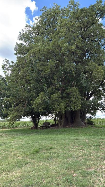 AlmaTierra Eco Finca