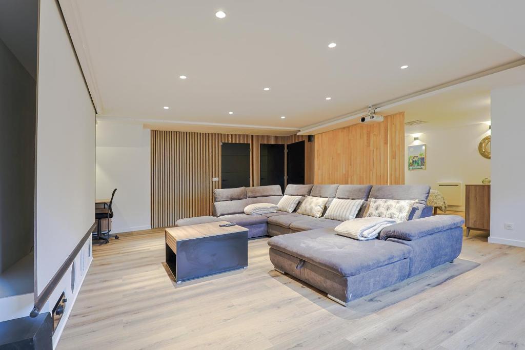 a living room with a couch and a tv at Le Ciné Lodge Provence in Flassans-sur-Issole