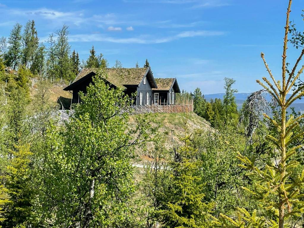 a house on top of a hill with trees at Cabin With Panoramic Views Over The Mountains in Nesbyen