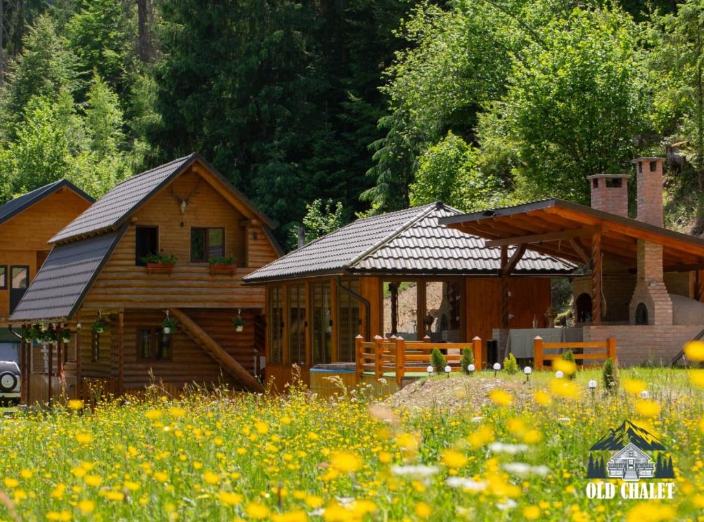 a log cabin with a porch and a field of flowers at Old Chalet Apuseni in Arada