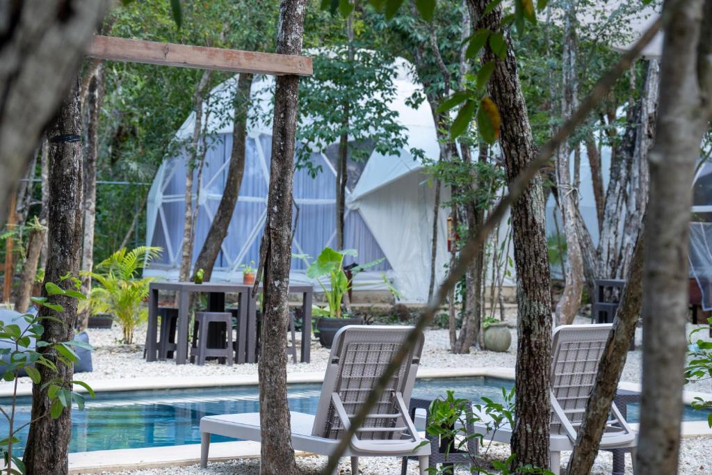 a pool with two chairs and a table and trees at Glamping Mayan Glam in Tulum