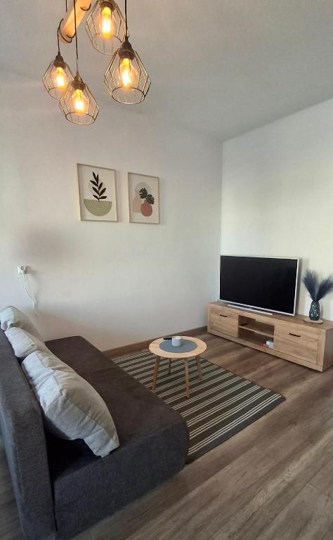 a living room with a couch and a flat screen tv at Apartament Elizabeth in Głubczyce