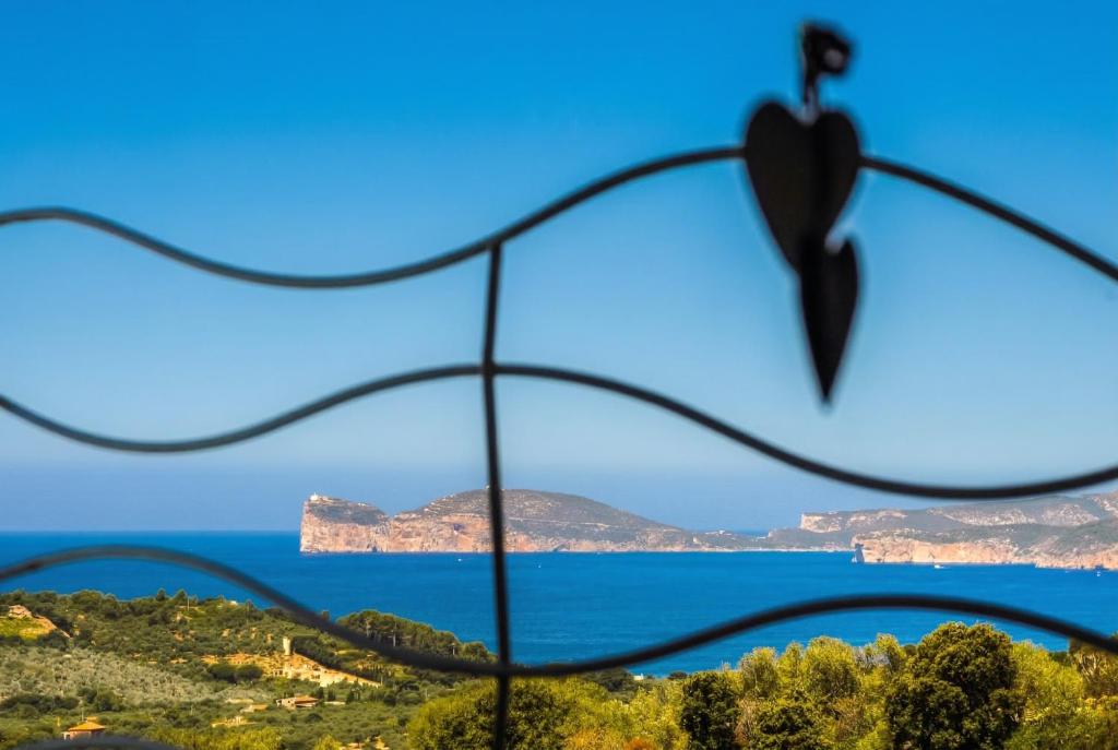 a view of the ocean and a black bird at Villa Emmeline fronte mare 5 camere 6 bagni infinity pool WiFi per 12 persone in Alghero